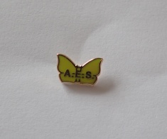 AES society badge