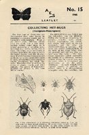 Collecting Het Bugs (Hemiptera: Heteroptera)