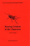 Rearing Crickets in the Classroom