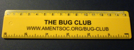 Bug Club ruler