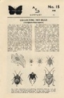 Collecting Het Bugs (Hemiptera: Heteroptera)